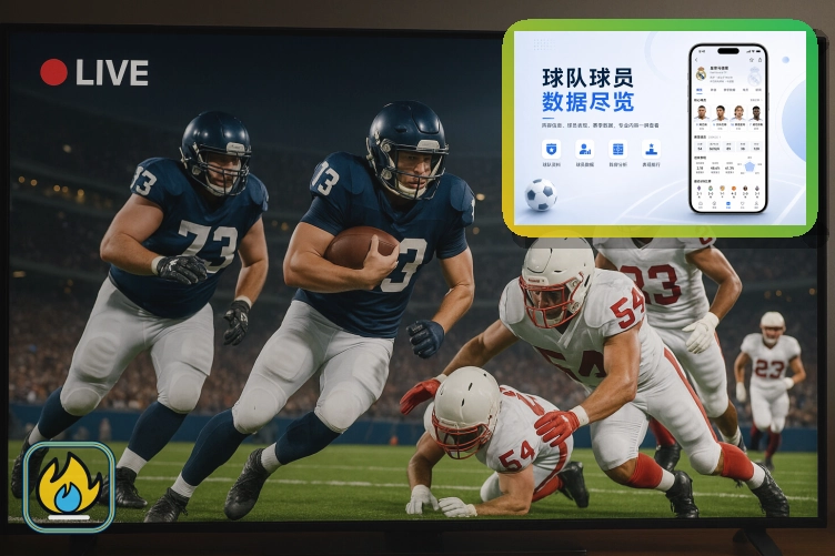 平台成立